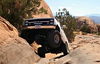IMGP3987 (2).JPG