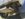 C85715B1-D2CD-4FCB-87E6-B579C7E6A013.jpeg