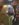 278C4114-4310-4B93-BF67-2BE19B663AF1.jpeg