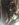 FFE4752A-EB8A-4B27-9602-2CF81B727206.jpeg