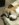 B886B14F-0969-425B-B1A4-A82F4CFFECCA.jpeg