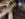 6131378C-71F2-4B76-8233-0480B093D666.jpeg