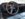 Resized_20180527_153252_2062.jpeg