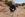 46004F16-127F-40CC-BCD9-0C5D878ECA01.jpeg