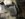 EF700EAE-8927-4A3D-85B9-D10BE01758D1.jpeg