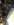 C64DE9D3-3C80-4BAE-AF70-2FD5A6B15398.jpeg