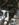 21512.jpeg