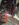 01A7D2E7-6571-4CE9-91E2-1739B2048525.jpeg
