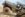 0C4E04C9-CF78-47B6-BC16-7D43D690BC17.jpeg