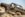 A33638B4-FD7E-450D-BBA4-614580C4B710.jpeg