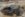 7028C99C-0CE6-4C32-B783-54FD00DC1A8E.jpeg
