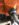 67CA2A61-7554-4CBB-A4CB-D81EE71DDC23.jpeg