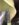 346F69B9-3D8C-4DD5-A0FF-4E783CC78CF5.jpeg