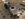10DC57B1-D6B6-408F-82E4-F63AF13550B7.jpeg