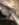 74887E61-EC42-4D4D-8416-369D268C97C7.jpeg