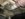 6F58B1C4-DEE7-4552-8D1B-C0C14F9CD7C3.jpeg