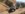04BFD598-DF4F-47D2-A25A-F22FC21F67F1.jpeg