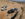 6ECD5369-8958-469A-B4DA-2D617F6EAC02.jpeg