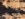 613C099A-24B4-4C94-893C-675EE56C0E28.jpeg