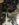 770AD04D-0E12-4A63-97DF-42602C4FFE1E.jpeg