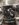 5D32ED24-910A-40DC-BCFE-ABF78BC84C52.jpeg