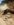 received_322586318519621.jpeg