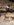 received_291626458127804.jpeg