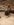 received_470328590153112.jpeg