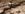 received_753719271645749.jpeg