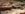 received_2195529147372316.jpeg