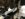 9F62A3F9-B441-48B5-A9B8-4A0858F28B20.jpeg