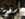 74E58380-9307-4BEB-A74A-1EE35ACB7722.jpeg