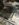 205FB61D-99D5-40D4-8A96-B0C716DEED40.jpeg