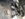 4BE9DBC4-C0B2-40CB-A64A-06896CFE885A.jpeg