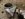 C42CDC36-85B4-4A98-A11F-EFF24C936C72.jpeg