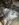 B6CAAF4A-2BBB-4A97-BD0D-4644ABA7B0A0.jpeg