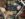 fullsizeoutput_12d7.jpeg