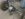 EE579A52-60E8-4E9D-AE99-172C690A4697.jpeg