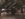 462D1741-E5B4-415B-B8BE-A50803F87920.jpeg