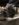 CD9E36C0-588A-4E3C-9FEF-D9B4B455F1DF.jpeg