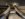 134AA776-00AF-4D91-9EA5-5500147D32B8.jpeg