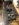 1733C968-C764-4C86-BF27-40EC8C865C0B.jpeg