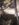 44D47D3B-748B-4973-A7A4-5B995E9B0FAC.jpeg