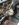 CF89F5C1-1181-4180-B949-5F961EEECDA2.jpeg