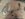 2824B45A-2123-4A4F-8386-634E0487143C.jpeg