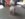 1008181537a.jpg