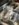 8EC57D1C-66A0-4645-A4BB-50BF3AC884AD.jpeg
