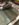 6558F5B9-5979-4A93-98ED-178DDE750457.jpeg