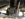 DBE58B6B-97B6-4039-B613-8E3AA681DD4C.jpeg