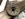 D34EA286-1329-49F7-BB92-143CCA338626.jpeg